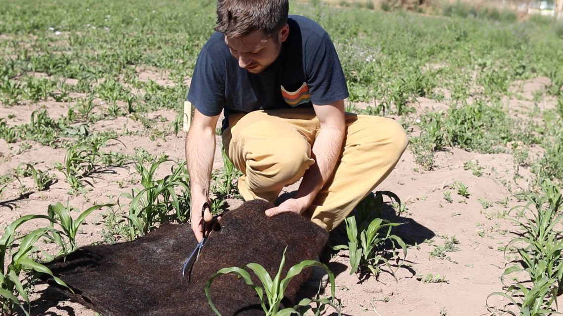 agropelo filtro para combatir la sequia en chile