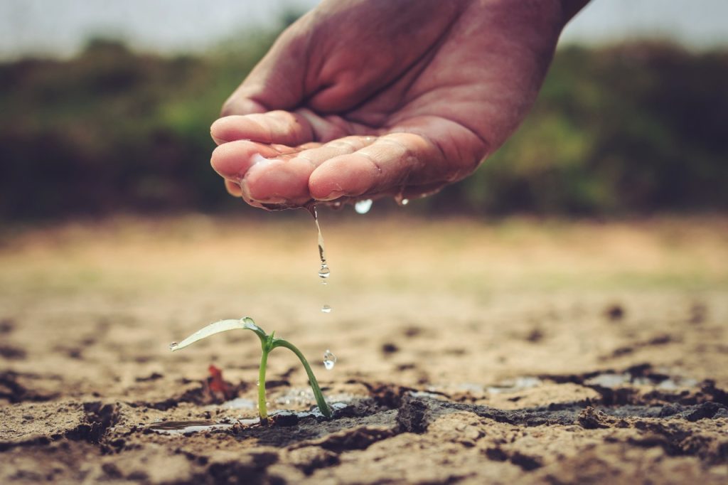 uso de aguas grises para la agricultura